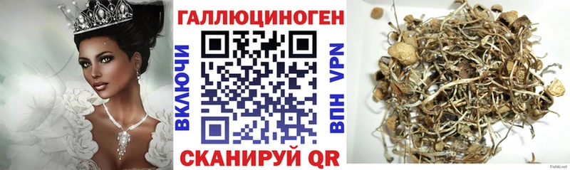 Купить  Коряжма  Псилоцибиновые грибы Psilocybe 